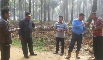 Pemkab Rohil Sterili Lokasi Kunjungan Presiden di Desa Pelita