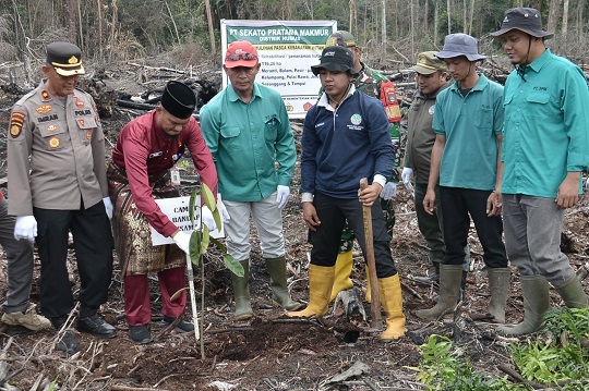 Gambar Artikel