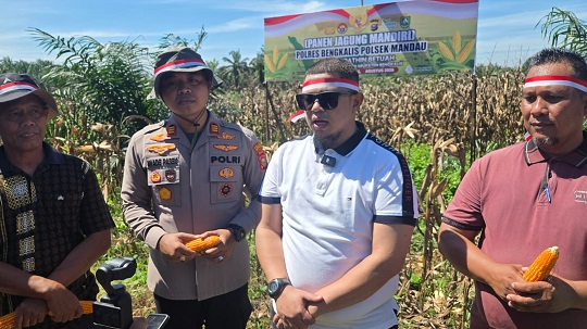 Gambar Artikel