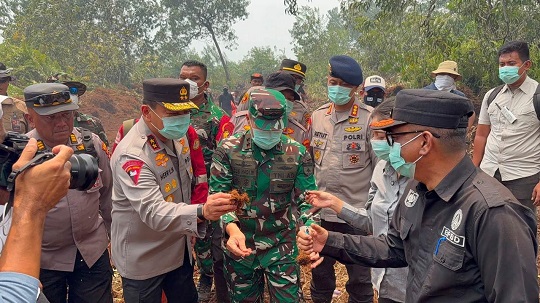 Gambar Artikel