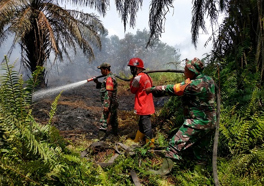 Gambar Artikel