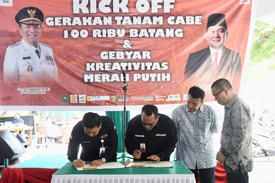 Gambar Artikel