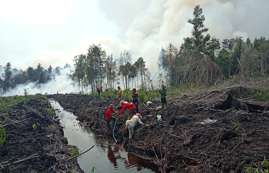 Gambar Artikel