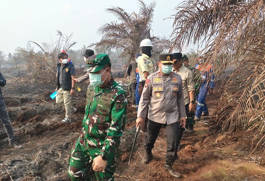 Gambar Artikel