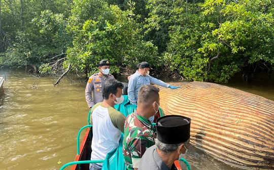 Gambar Artikel