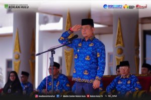 Gambar Artikel