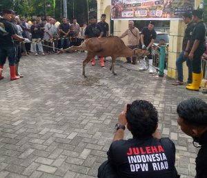 Gambar Artikel