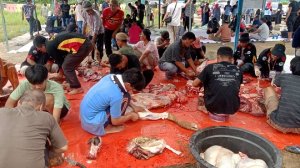 Gambar Artikel
