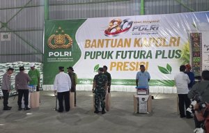 Gambar Artikel