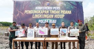Gambar Artikel