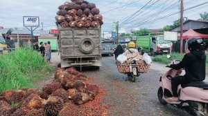 Gambar Artikel