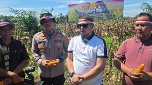 Gambar Artikel
