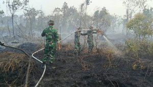 Gambar Artikel