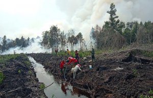 Gambar Artikel