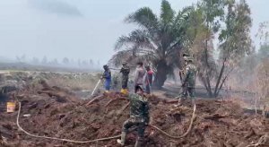 Gambar Artikel