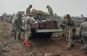 Gambar Artikel