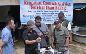 Gambar Artikel