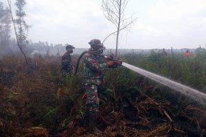 Gambar Artikel