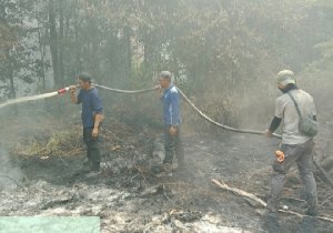 Gambar Artikel