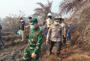 Gambar Artikel