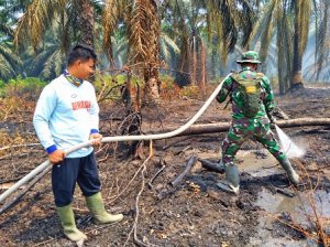 Gambar Artikel