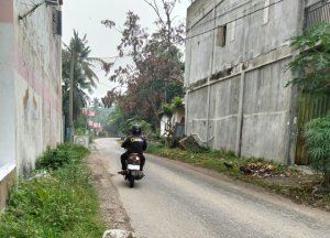 Gambar Artikel
