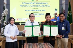 Gambar Artikel