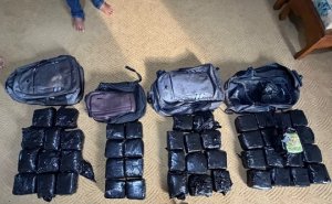 Gambar Artikel