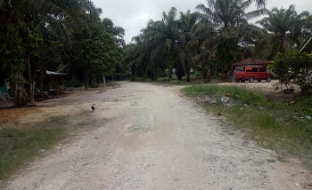 Jalan KM 6 Arah Plasma Seikijang Sudah Harus di Aspal, Karena Penduduk Sudah Padat